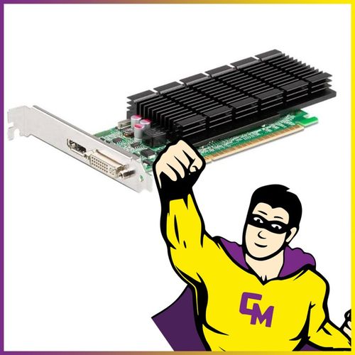 Carte Graphique Nvidia GeForce 605 1Go DDR3 PCI-Express DP DVI-I High Profile