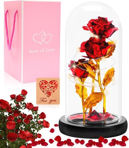 Rose Éternelle sous Cloche LED dans Dome Verre - Cadeau Femme, Maman, Mère Fête des Mères, Anniversaire
