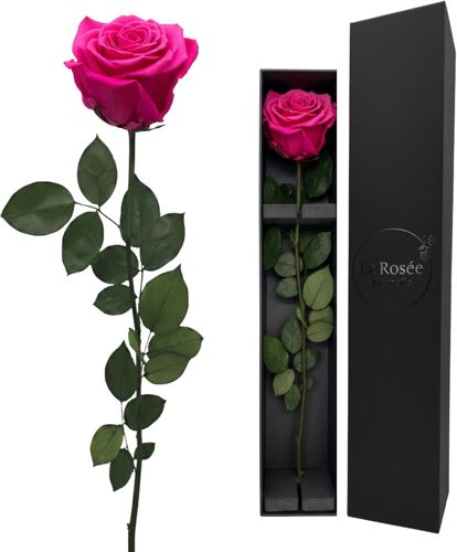 Rose Éternelle Parfumée 48 Cm \U2013 Fleur Naturelle Stabilisée D`Équateur \U2013 Cadeau Romantique Pour Femme : Anniversaire, Saint-Valentin, Mariage Ou Fête Des Mères \U2013 Couleur : Hot Pink 