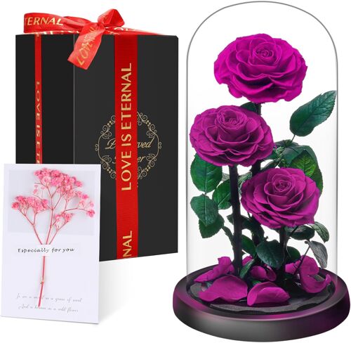 Noël Cadeaux pour Femmes - Rose Éternelle sous Cloche, Naturelle Fleur Eternelle Cadeau, Idée Boite Rose Eternel, Cadeau pour la Saint-Valentin, Anniversaire, Femme,Copine,Amie,Maman,Grand Mere