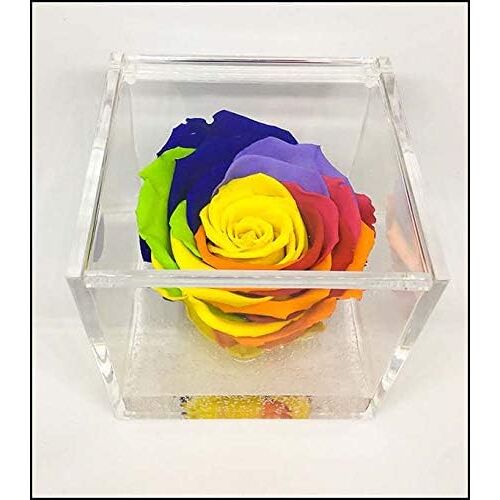 PremiumRose Rose Stabilisée Parfumée Cube 8cm Vraie Rose Eternelle, Idée Cadeau Maman, Petite Amie, Idée Cadeau d'anniversaire, Remise de Diplôme (Multicolore A 1800)