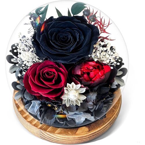 Rose Noire Éternelle sous Cloche avec Lumière - Fleurs Préservées dans son Écrin Cadeau - Idée Cadeau pour Femme, Maman, Grands-Mères, Petit-ami - Noël, Saint-Valentin, Fête des Mères, Anniversaire