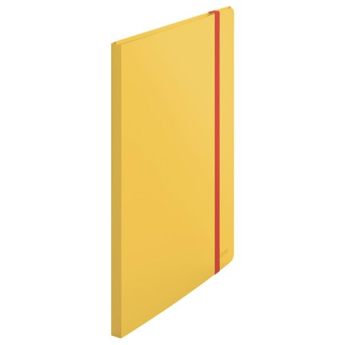 Leitz 46700019 Protège-Documents De Présentation 20 Pochettes A4