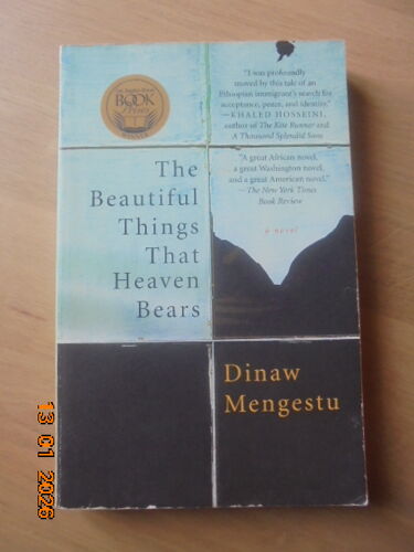The Beautiful Things That Heaven Bears
