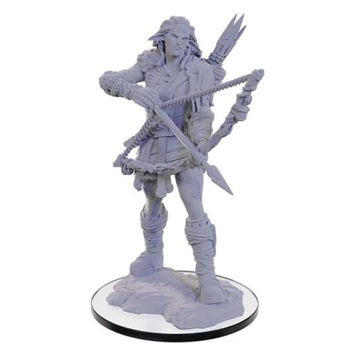 Pathfinder Deep Cuts Miniature À Peindre Wood Giant