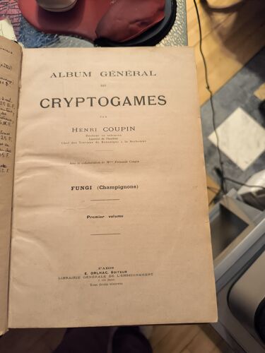 Henri Coupin – Album Général Des Cryptogames – Fungi (Champignons) – Livre Ancien Relié Cuir