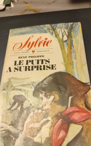 Le Puits À Surprise