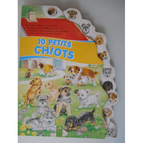 10 Petits Chiots Observer Chercher Compter