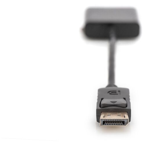Digitus Câble d'adaptateur DisplayPort - DVI