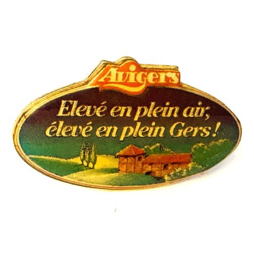 Pins Avigers Poulet Eleve En Plein Air Eleve En Plein Gers 32