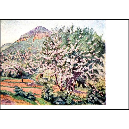 Pissarro Camille Lot 7 Cartes Postales Tableaux Peinture