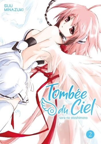 Tombée Du Ciel - Tome 2