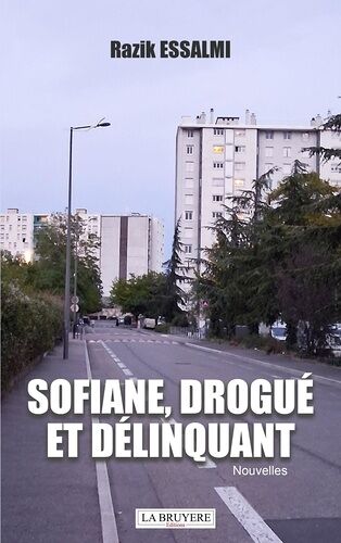 Sofiane, Drogué Et Délinquant