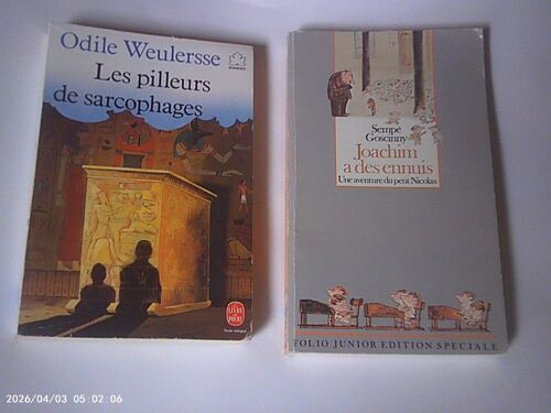 2 Livres Pour Juniors ( Les Pilleurs De Sarcophages Et Joachim A Des Ennuis)