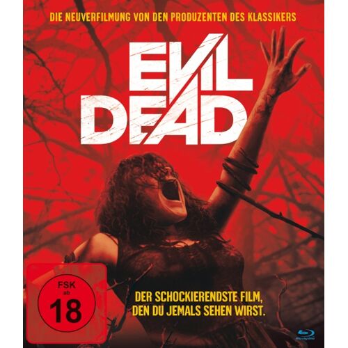 Plaion 1131931 Film Blu-Ray Allemand, Anglais (Evil Dead)