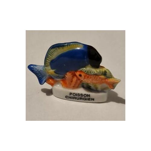 Feve Poisson Chirurgien