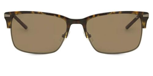 Chesterfield Ch 16/S Polarized 0086 Sp 59