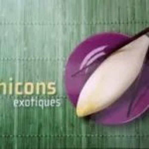 Chicons Exotiques