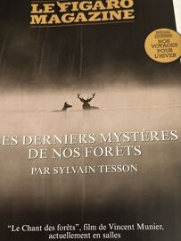 Le Figaro Magazine Des 19-20 Décembre 2025. Spécial Tourisme. Nos Voyages Pour L’Hiver. Les Derniers Mystères De Nos Forêts Par Sylvain Tesson. « Le Chant Des Forêts » Film De Vincent Munier…