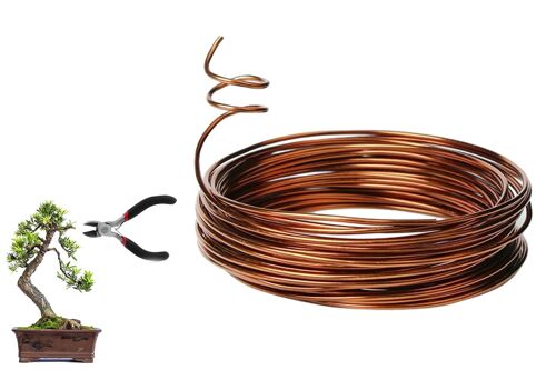 Fil de palissage pour bonsaï - Aluminium anodisé, 0,2 mm x 500 cm, 2 rouleaux pour la mise en forme et le stylisme des plantes