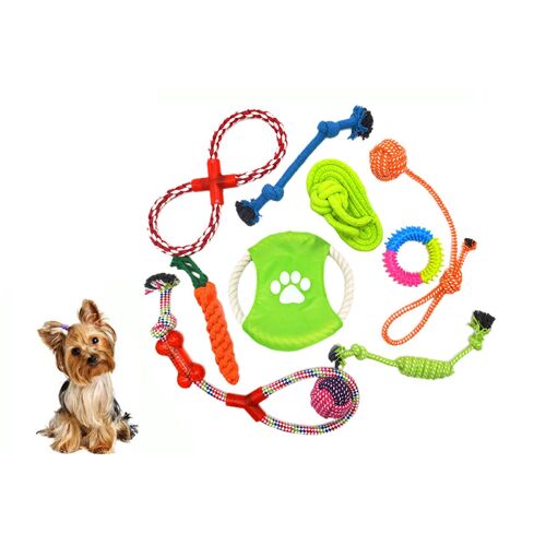 Lot De 10 Jouets À Mâcher En Corde Pour Chiots - Nettoyage Des Dents Et Jeu Interactif En Coton
