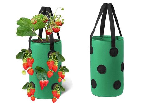Sac de culture suspendu pour légumes et fruits - Capacité de 11 litres, 12 ouvertures pour plantes, tissu non tissé