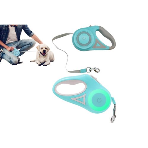 Lot De 2 Laisses Rétractables Led De 5 M Avec Lumière Rgb Pour Chiens - Vert