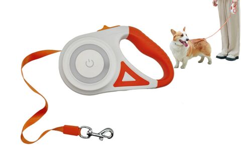 Laisse Rétractable Led 5 M Avec Lumière Rgb Pour Chiens - Orange