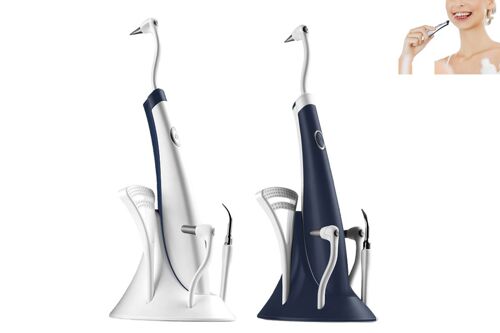 Kit De 2 Appareils De Détartrage Ultrasoniques Électriques Avec 5 Têtes De Nettoyage Et Lumière Led