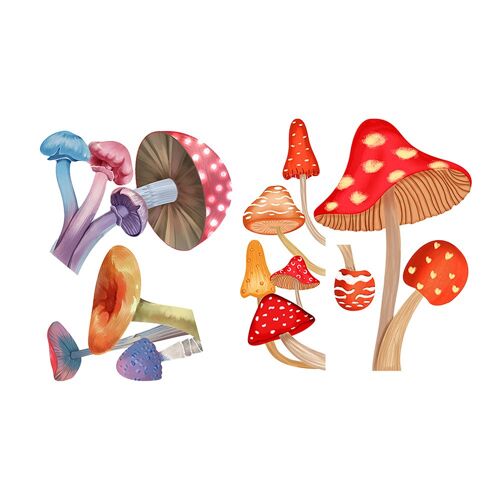 Stickers muraux champignons phosphorescents - Autocollants, imperméables, repositionnables, lot de 2, 11 x 14 cm