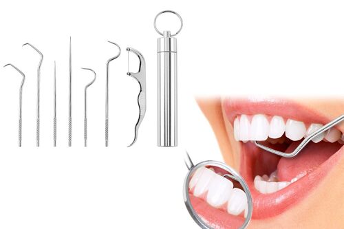 Ensemble De 7 Cure-Dents En Acier Inoxydable Avec Porte-Clés Et Boîte De Rangement