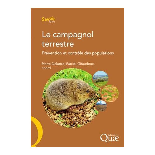 Le Campagnol Terrestre