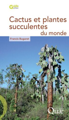 Cactus Et Plantes Succulentes Du Monde