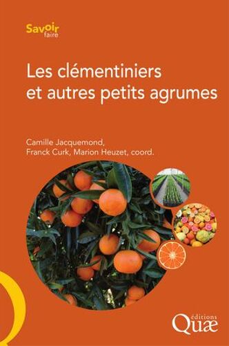 Les Clémentiniers Et Autres Petits Agrumes