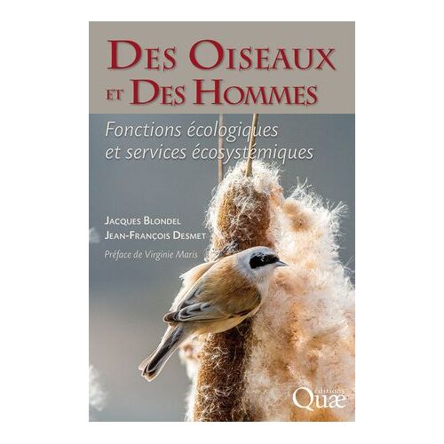Des Oiseaux Et Des Hommes
