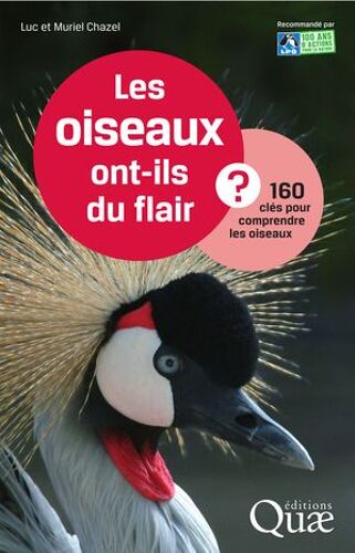 Les Oiseaux Ont-Ils Du Flair ?