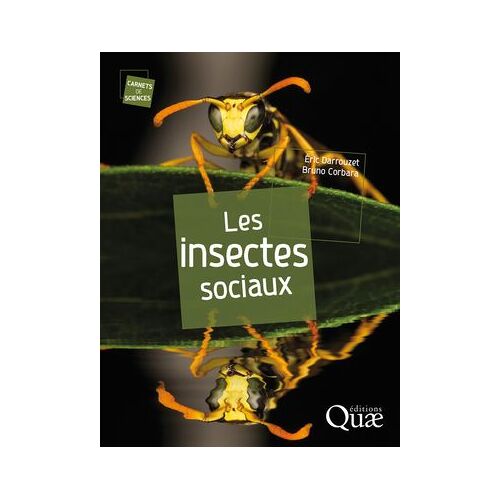 Les Insectes Sociaux