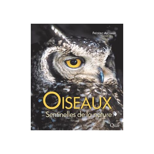 Oiseaux, Sentinelles De La Nature