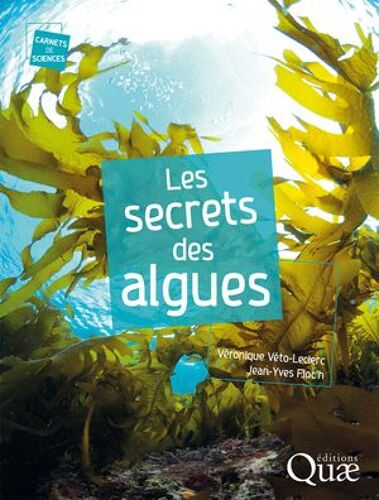 Les Secrets Des Algues