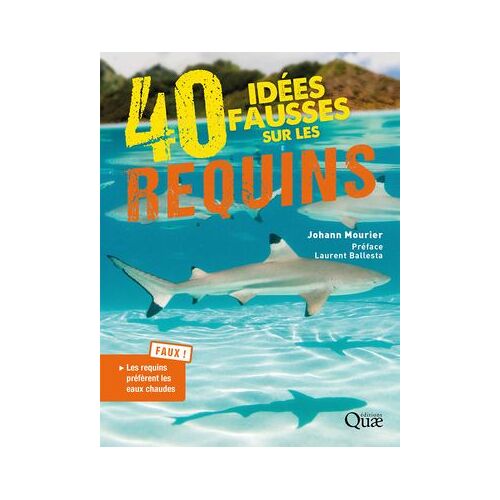 40 Idées Fausses Sur Les Requins
