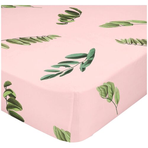 Happy Fiday Home 20289 Drap De Lit 180 X 200 Cm Eponge Coton