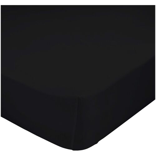 Happy Fiday Home 2328 Drap De Lit 90 X 200 Cm Eponge Coton