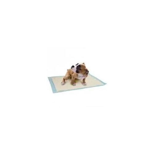 Tapis Absorbant