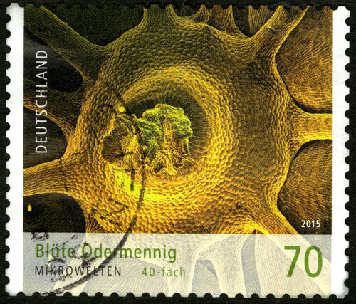 Timbre Oblitéré Deutschland , Blüte Odermennig , Mikrowelten , 40-Fach , 2015 ,