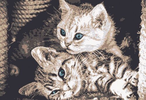 Kit Pt De Croix Et Brod 36,5x25 Golden Retriever