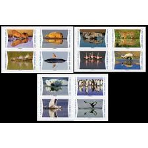 Animaux Du Monde : Animaux Sauvages Se Reflétant Dans L'Eau Série Complète Année 2020 Autoadhésifs N° 1815 1816 1817 1818 1819 1820 1821 1822 1823 1824 1825 1826 Yvert Et Tellier