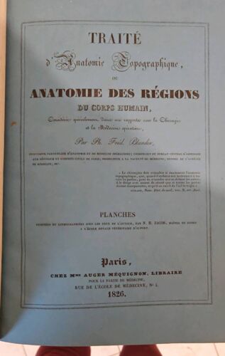 Anatomie Des Régions Du Corps Humain