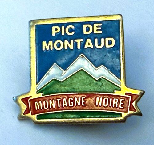 Pins Pic De Montaud Montagne Noire