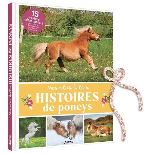 Mes Plus Belles Histoires De Poneys - 15 Posters Détachables ! Et Un Livre À Transformer En Carton À Dessin !