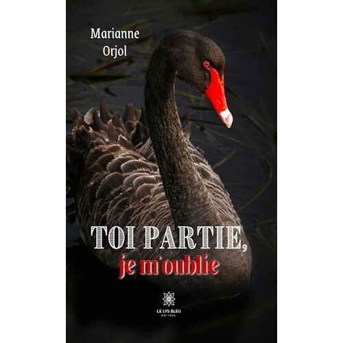 Toi Partie, Je M'oublie
